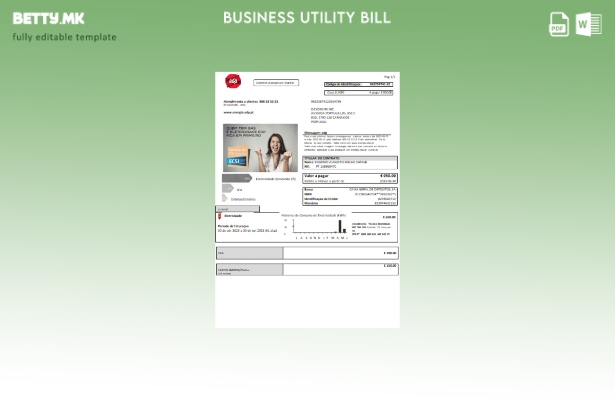 Модерен стил на EDP Португалија за деловна сметка за електрична енергија за кому